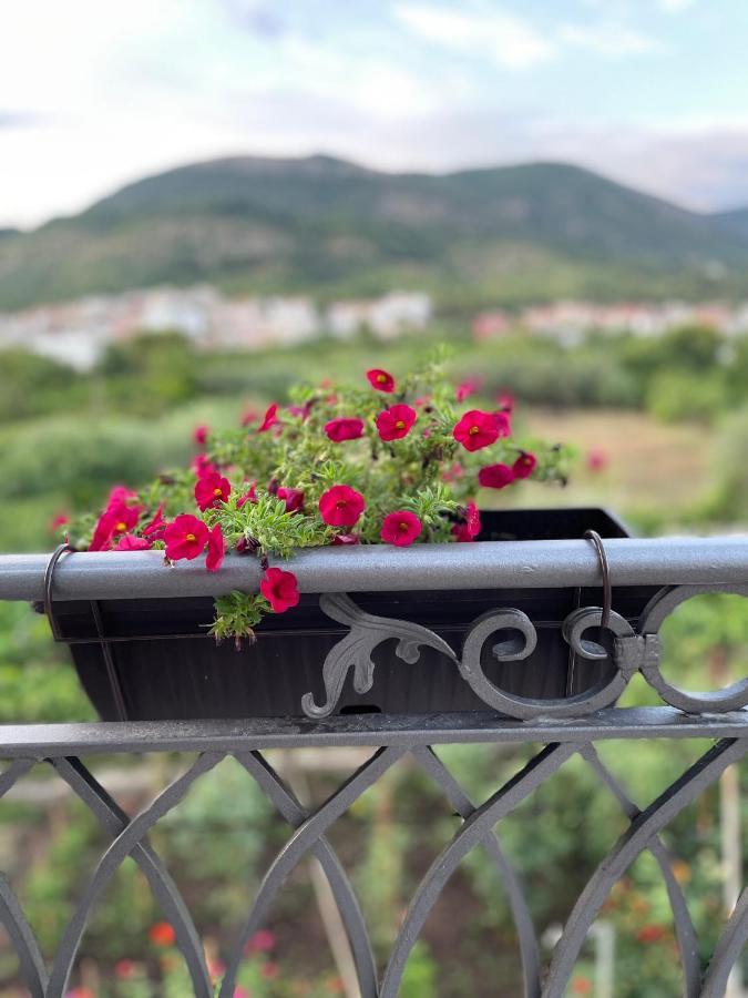 Appartamento Petivat Gardens Esterno foto
