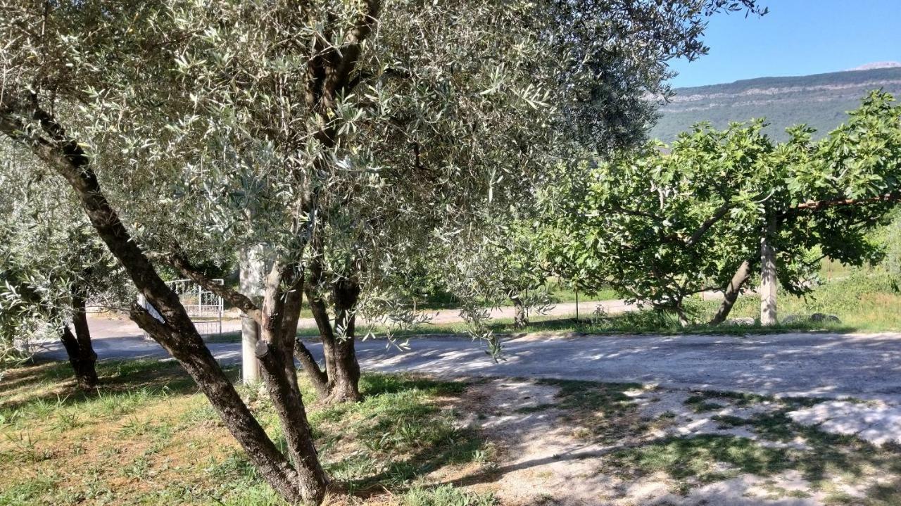 Appartamento Petivat Gardens Esterno foto