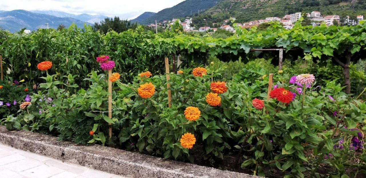 Appartamento Petivat Gardens Esterno foto